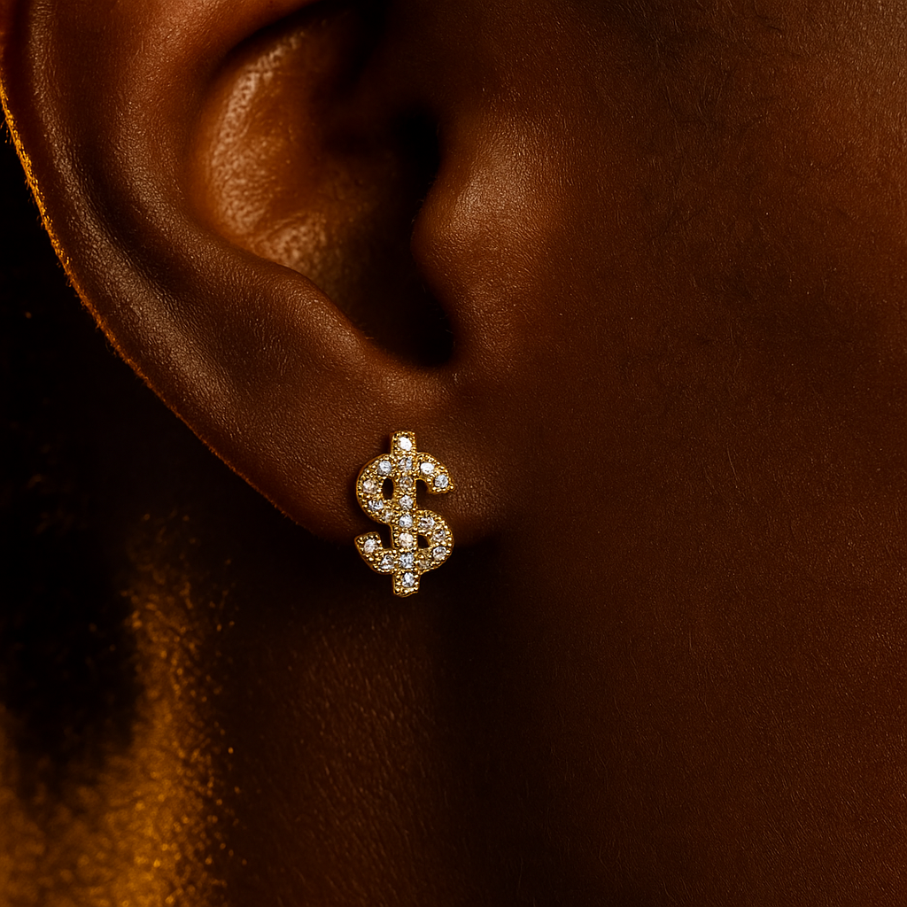 $ Earrings