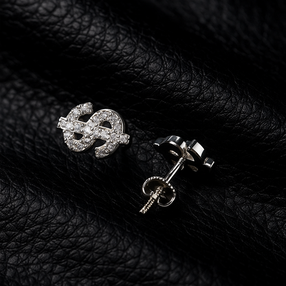 $ Earrings