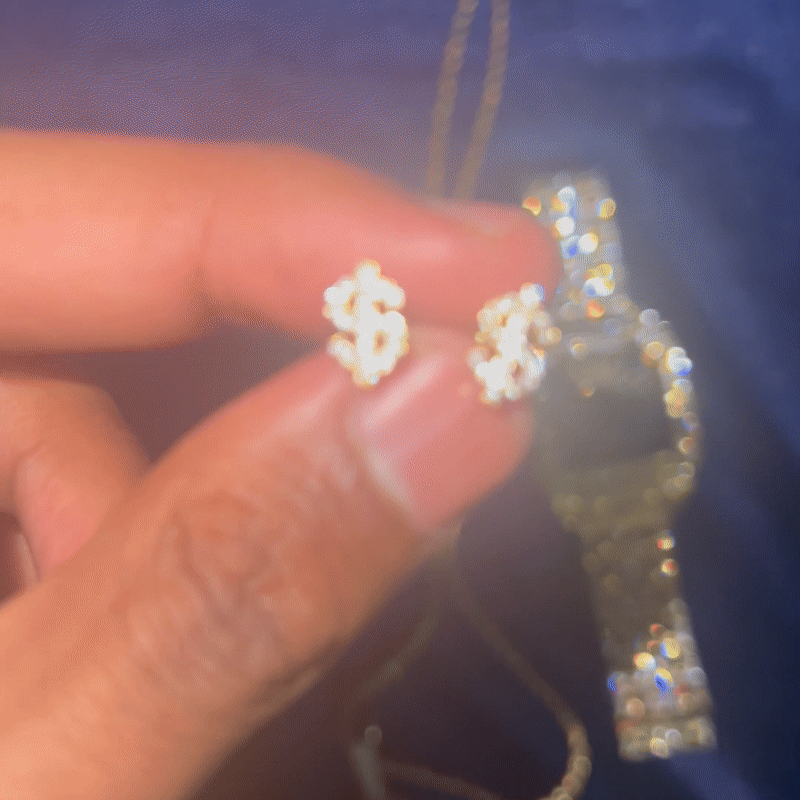 $ Earrings