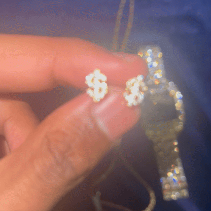 $ Earrings